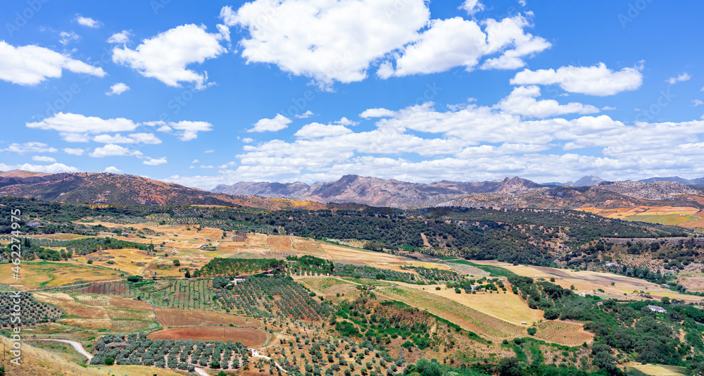 Valle de Ronda con campos de cultivo, arboles, caminos y montañas al fondo un día soleado con cielo azul y nubes. Desde Málaga, Andalucía, España.