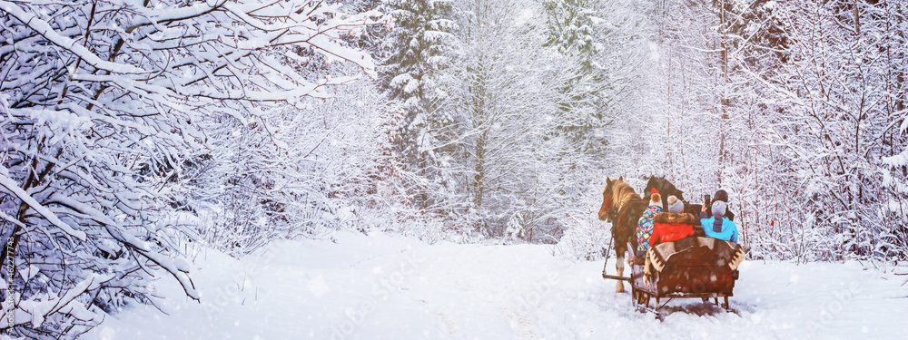 Winter landscape, banner - view of the snowy road with a horse sleigh in the winter mountain forest after snowfall