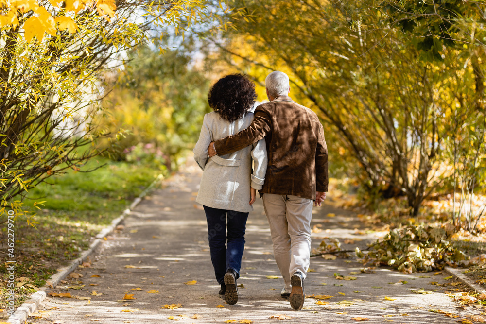 Fototapeta premium Mature couple 50 years old in an autumn park. Back view: a man and a woman are walking along the alley.