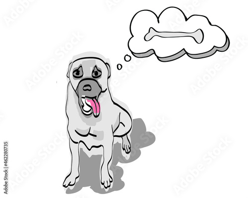 dog with bone