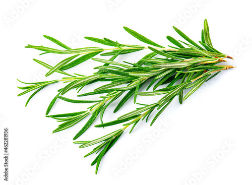 Rosemary herbal © margo555