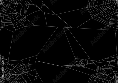 isolated old white spider web background