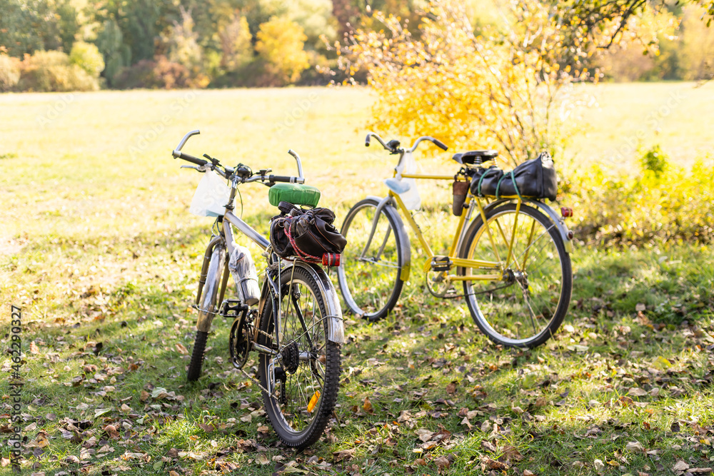 Fototapeta premium two bicycles standing on covered autumn leaves