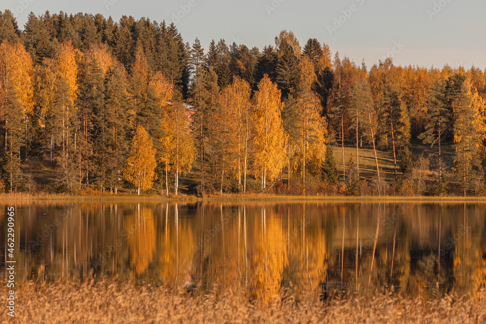 Autumn landscape by the lake and the reflection of trees in the water. Sunny day..Yellow foliage on trees in autumn