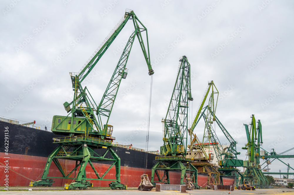 Fototapeta premium Mobile Harbor Green Cranes for Bulk Handling