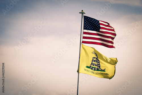 Gadsden and American flag in the sky photo