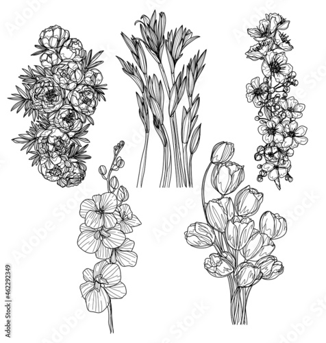 flowers set hand sketch drawing  black and white