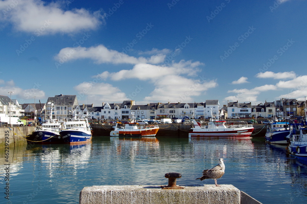 Obraz premium port de la Turballe