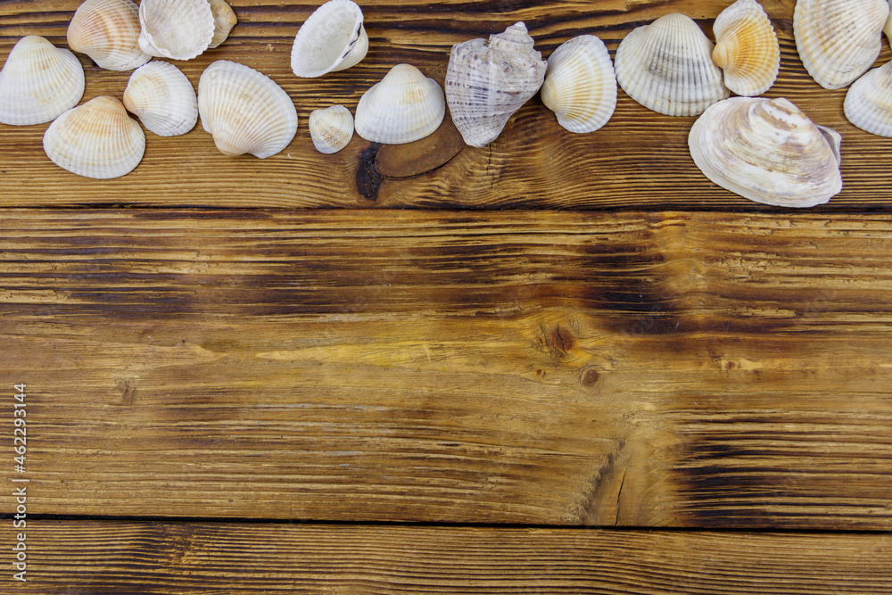 Sea shells on rustic wooden background. Top view, copy space Sea shells on rustic wooden background. Top view, copy space