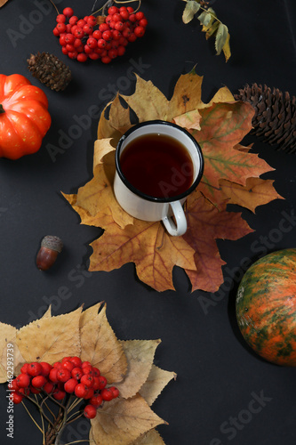 A cup of tea on yellow maple leaves. Next to a row of pine cones, acorns and pumpkins, isolated on a black background