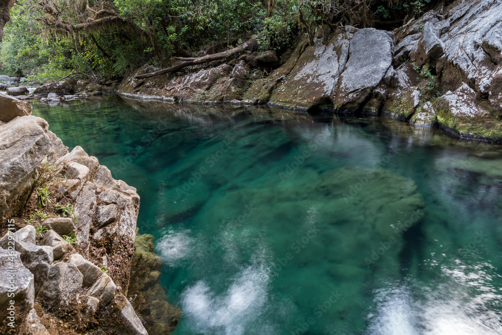 The Riuwaka Resurgence in Kahurangi National Park, New Zealand The Riuwaka Resurgence in Kahurangi National Park, New Zealand