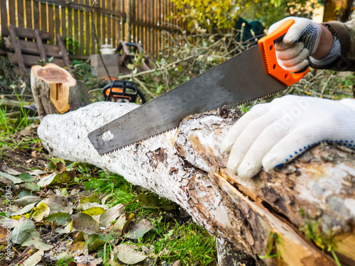 The process of manual sawing of a log. Saw and the end of a tree close up. A man cuts a tree trunk with a hand saw