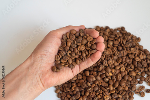 Fresh coffee beans in the palm. world coffee day.