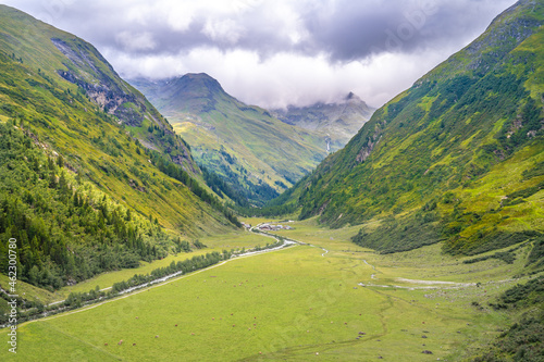 Green meadow in alpine valley, Gschlosstal Valley, Hohe Tauern National Park, East Tyrol, Austrian Alps