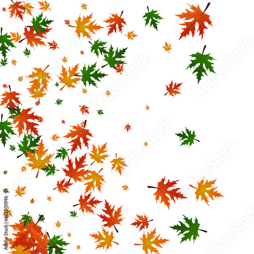 Golden Leaves Background White Vector. Foliage Paper Pattern. Ocher Bright. Fall Frame. Yellow Leaf Autumn.