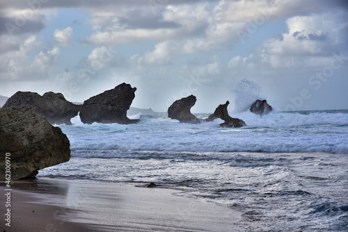 Specific rocks formation near The Soup Bowl spot on Barbados island,Caribbean Islands