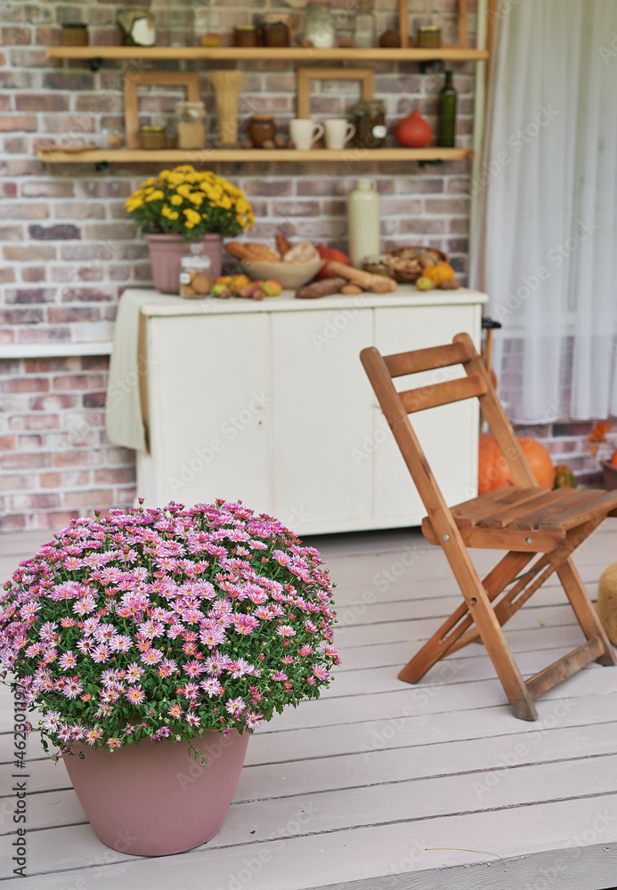 Autumn harvest terrace background. Halloween. Country. Pumpkins and flowers. Vacation home. Thanksgiving Day