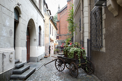 Riga, Latvia. Carriage with flowers.