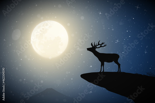 Lonely deer on cliff edge. Animal in snowy weather. Full moon at night