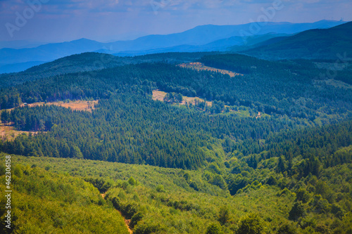 Green mountain scenic in Stara Planina, Bulgaria