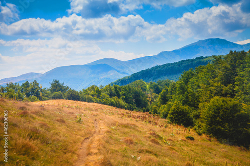 Walking path in lesser mountain highlands of Stara Planina, Bulgaria