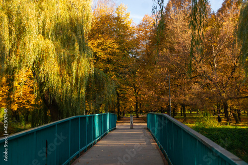 Sielecki Park in Sosnowiec