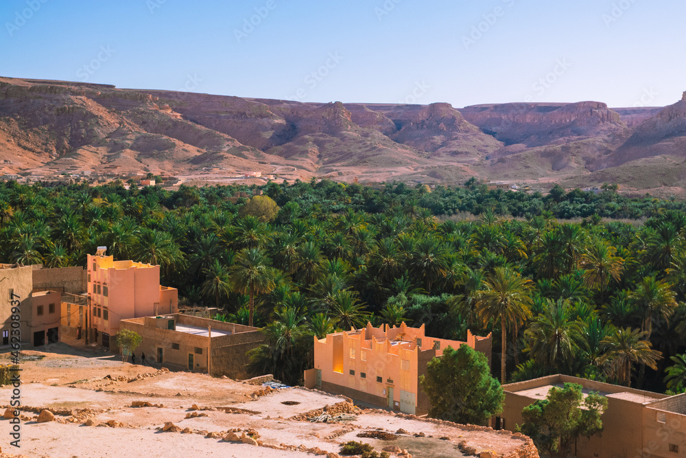 Africa Morocco desert Atlas mountains nature rock landscape with river palm under blue sky hot weather 