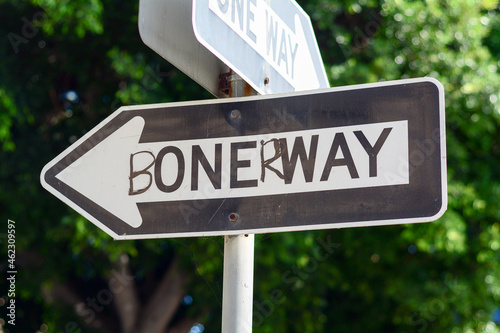 One Way Sign Modified - Boner Way