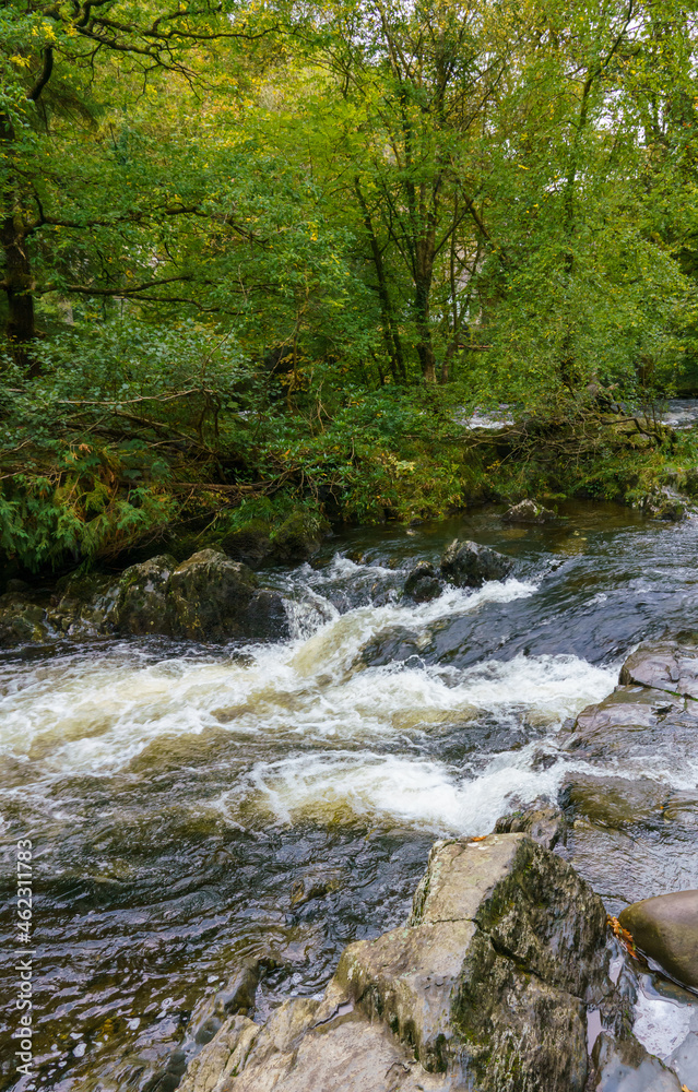 Fototapeta premium white foaming water upstream of the Waterfall at pont-y-pair bridge on the Afon Llugwy, Betws-y-coed, Snowdonia National Park, Wales UK