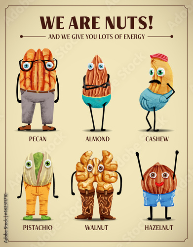 Nuts illustration set - Pecan, Almond, Cashew, Walnut, Hazelnut, and Pistachio. Cute fun hand drawn characters