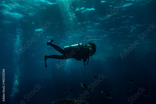 Woman scuba diver swimming in deep blue © Adrien