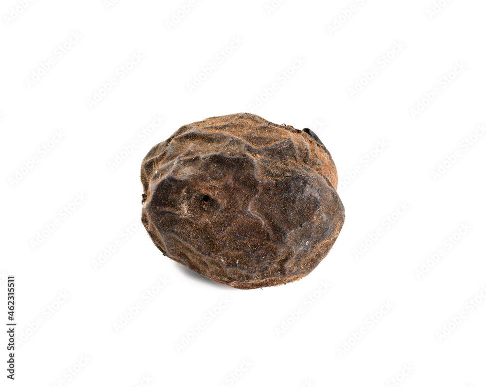 nut in dry brown shell isolated on white background nut in dry brown shell isolated on white background