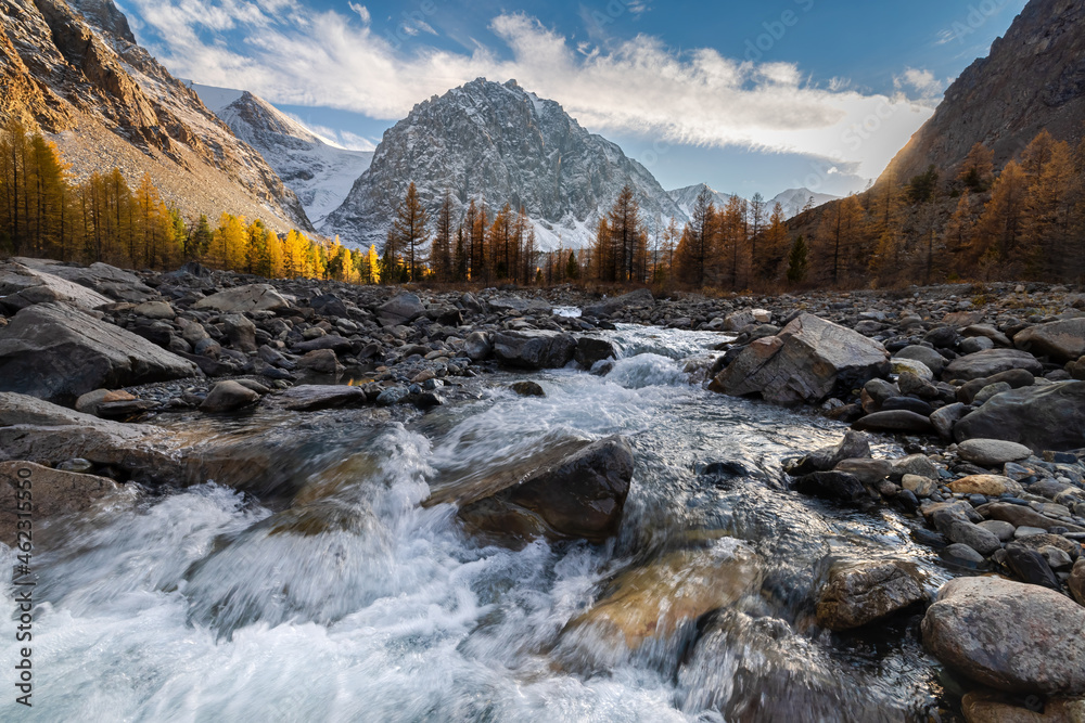 Mountain river with a view of yellow larches, mountains and glacier in autumn at sunset. Altai, Russia.