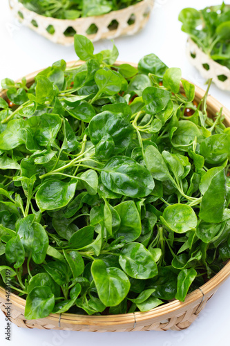 Watercress in bamboo basket on white background