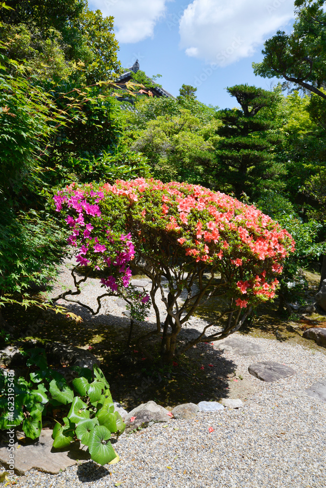 新薬師寺　庭園　奈良市