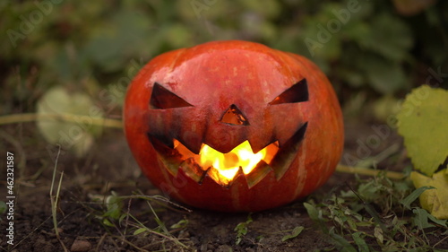 Halloween pumpkin burns with real fire. Jack lantern lies on the ground at the holiday.