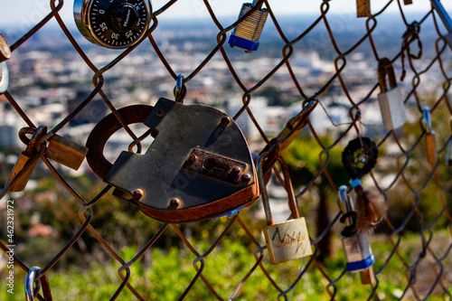 Locks on a Chain Link Fence at Griffith Park 