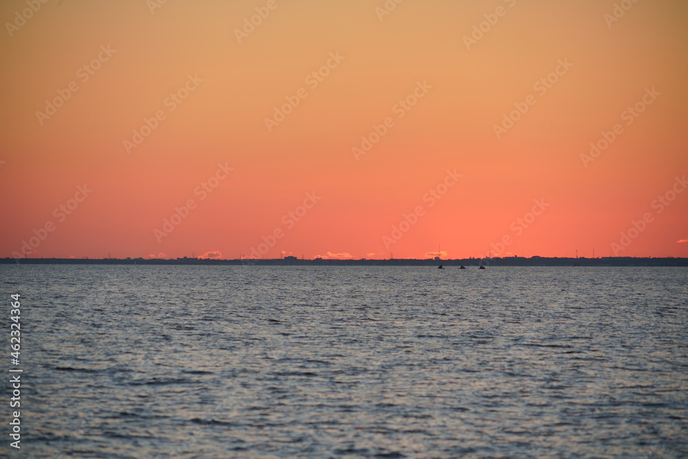 Fototapeta premium Florida Tampa bay sun set landscape 