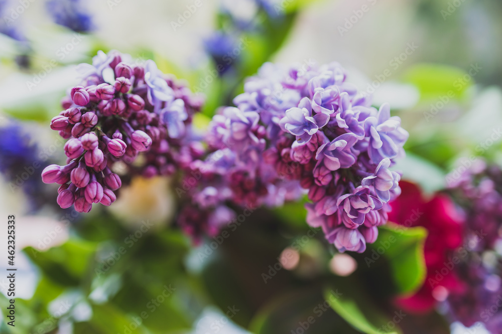close-up of bunch of purple flowers including lillac in vase indoor by the window close-up of bunch of purple flowers including lillac in vase indoor by the window