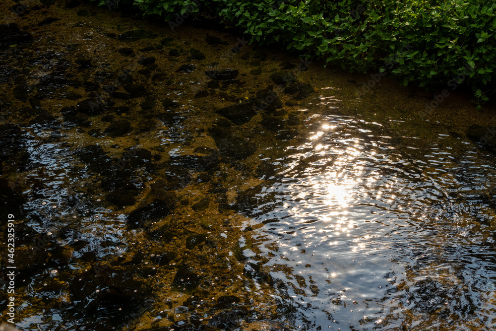 浅い川の水面で反射する太陽の光 Stock Photo Adobe Stock