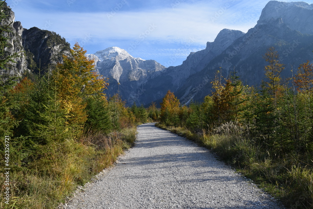 Autumn Forest Mountain Path