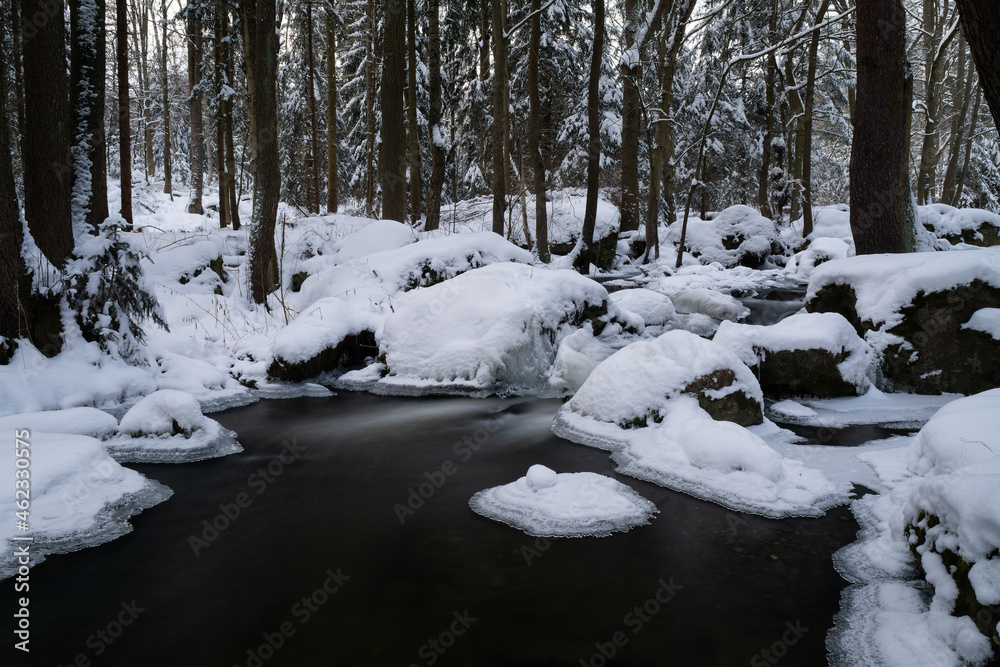 smooth motion of wild water in a river in winter with snow and ice on rocks and stones in the beautiful nature of a forest smooth motion of wild water in a river in winter with snow and ice on rocks and stones in the beautiful nature of a forest