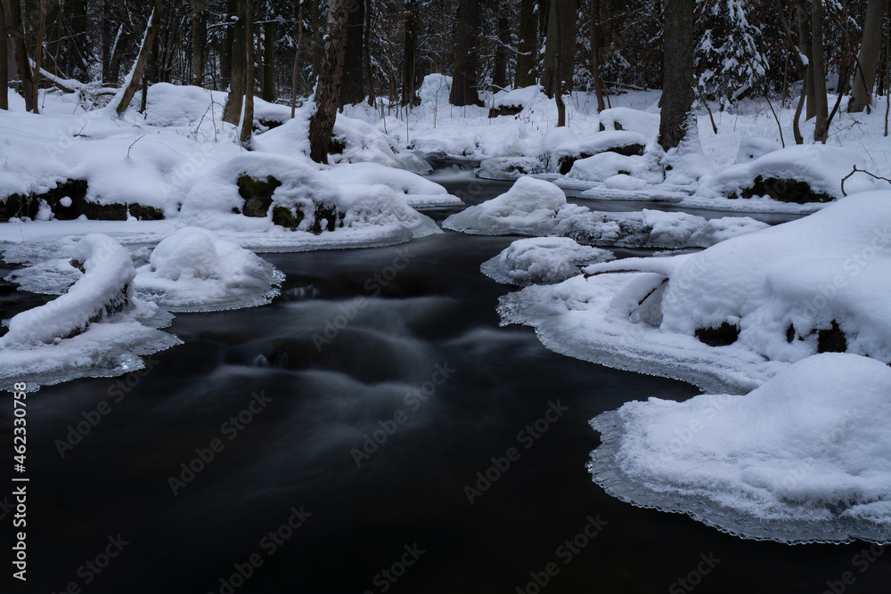 Obraz premium smooth motion of wild water in a river in winter with snow and ice on rocks and stones in the beautiful nature of a forest
