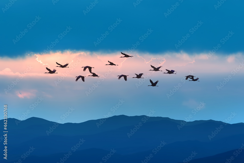 Fototapeta premium Silhouette of flock of birds flying in a blue sky with copy space