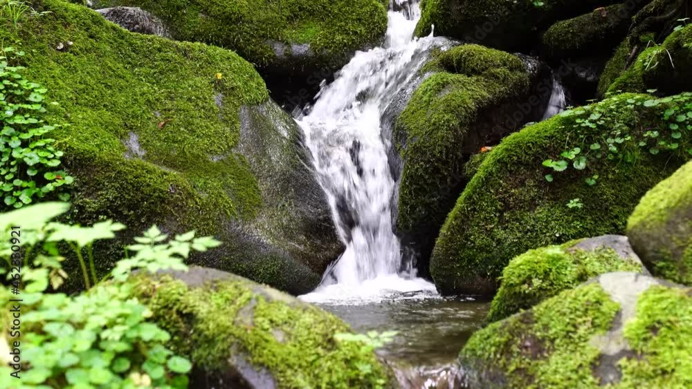 The water flowing through the beautiful green moss valley The water flowing through the beautiful green moss valley