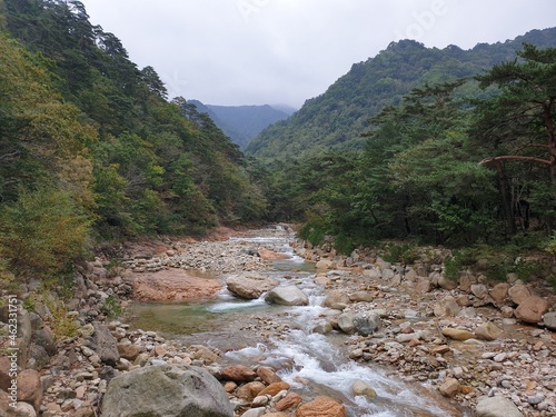 Mt. Seolark