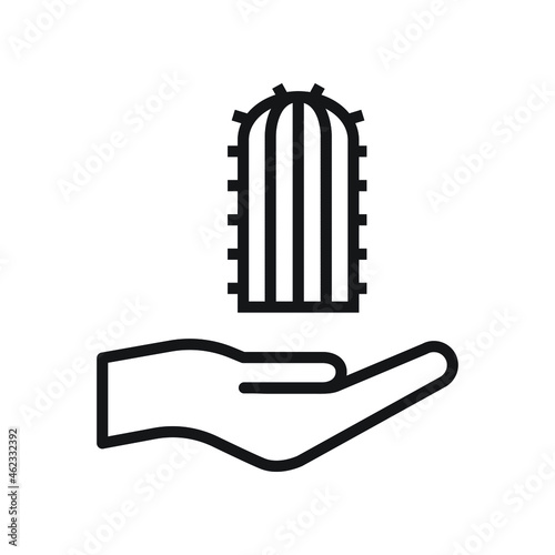 Hand holding cactus icon design vector illustration
