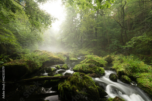 smooth motion of wild water in a river in summer with rocks and stones in the beautiful nature of a forest - triebtal