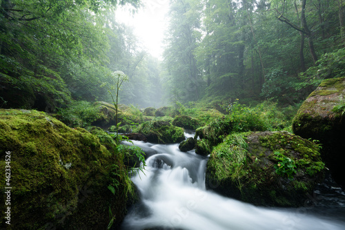 smooth motion of wild water in a river in summer with rocks and stones in the beautiful nature of a forest - triebtal