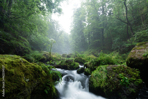 smooth motion of wild water in a river in summer with rocks and stones in the beautiful nature of a forest - triebtal